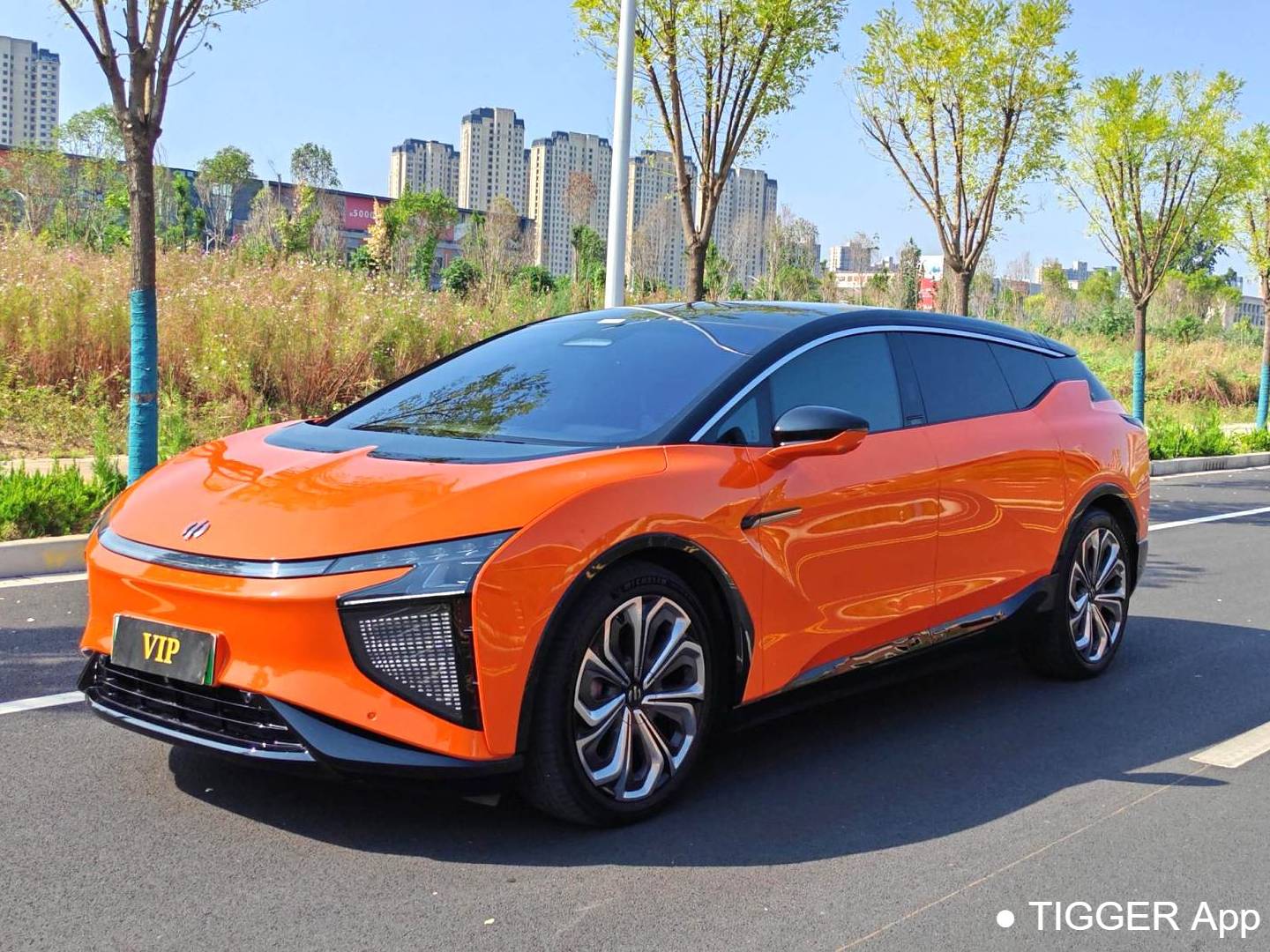 HiPhi 2021 HiPhi X Flagship Edition 6-seater automatic transmission