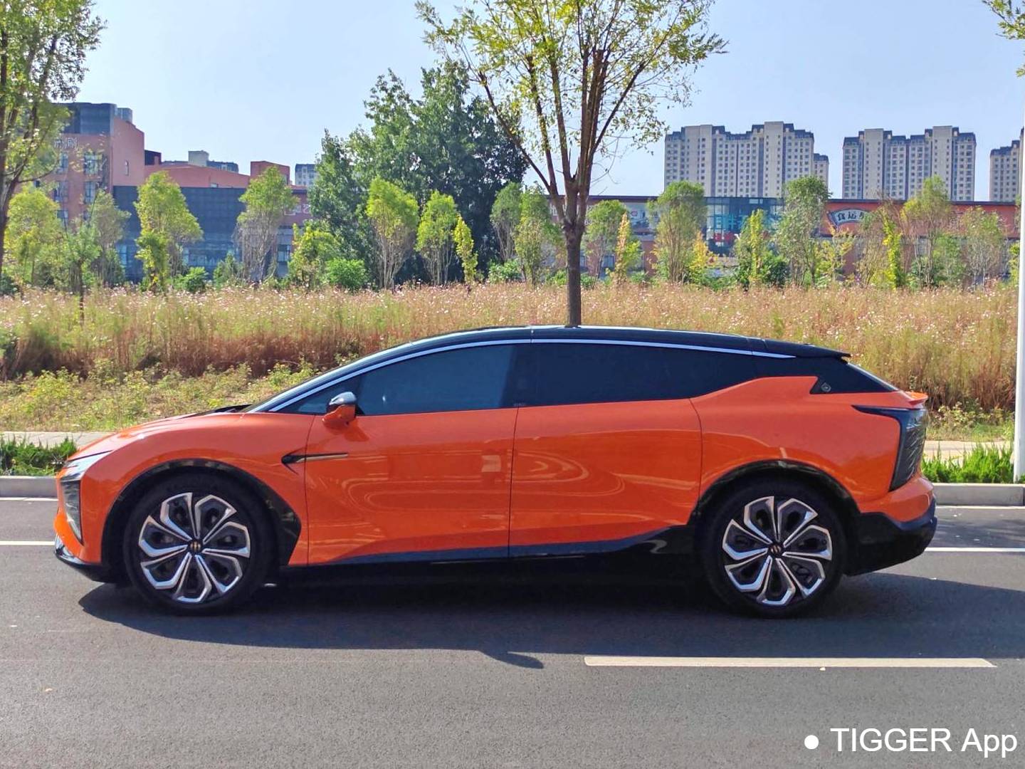 HiPhi 2021 HiPhi X Flagship Edition 6-seater automatic transmission