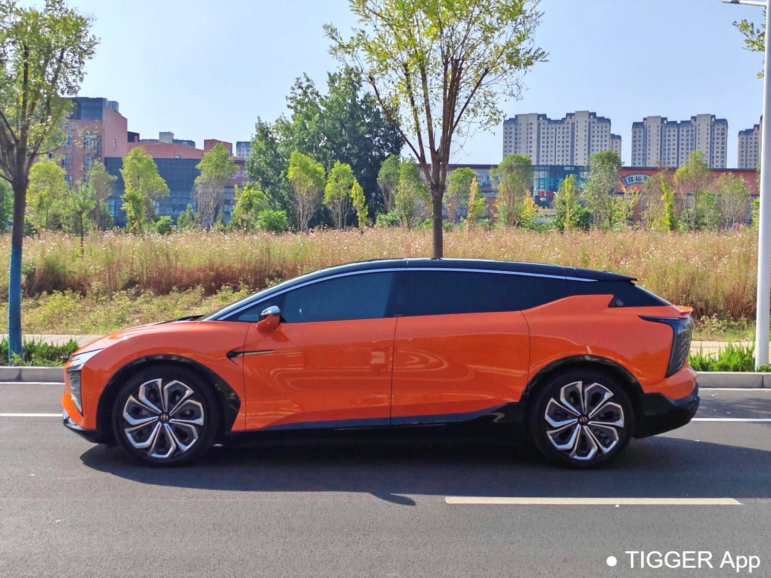 HiPhi 2021 HiPhi X Flagship Edition 6-seater automatic transmission