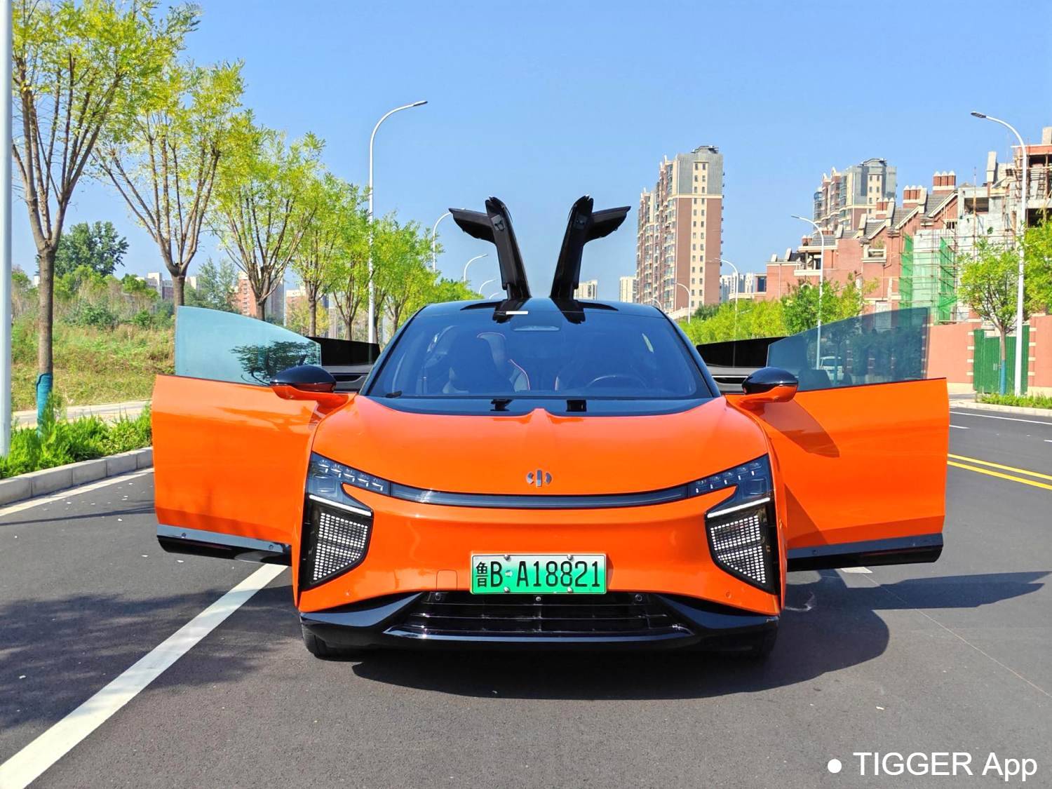 HiPhi 2021 HiPhi X Flagship Edition 6-seater automatic transmission