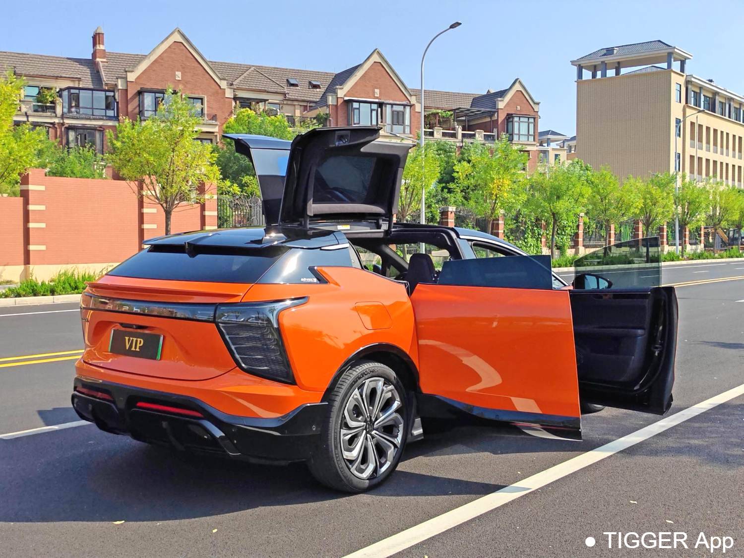 HiPhi 2021 HiPhi X Flagship Edition 6-seater automatic transmission