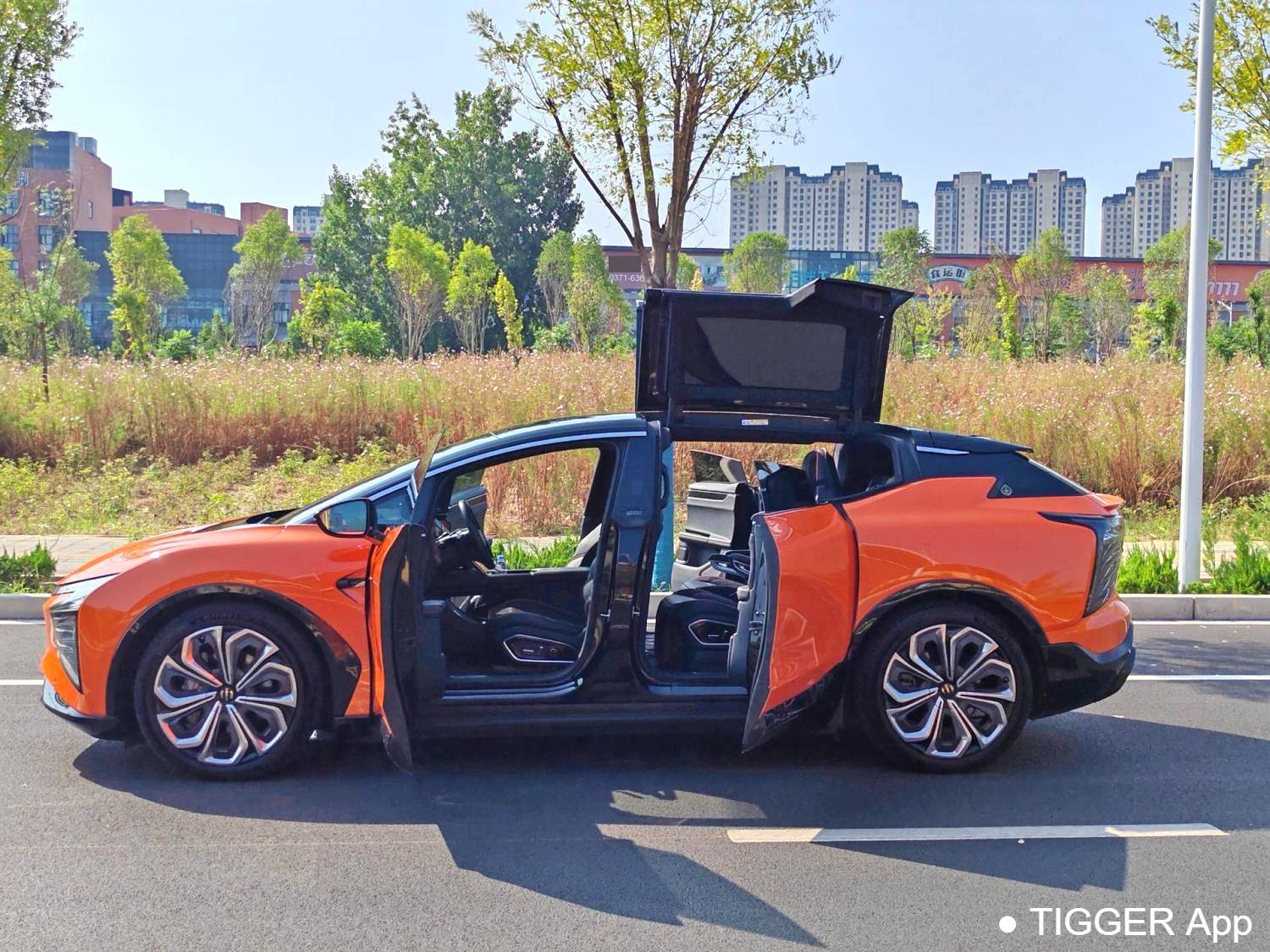 HiPhi 2021 HiPhi X Flagship Edition 6-seater automatic transmission