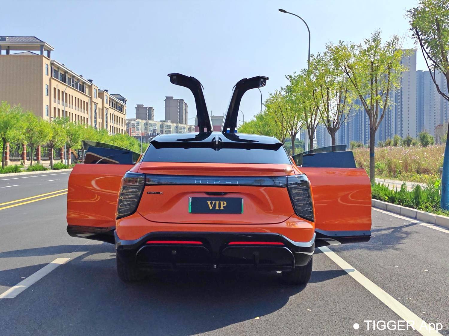 HiPhi 2021 HiPhi X Flagship Edition 6-seater automatic transmission