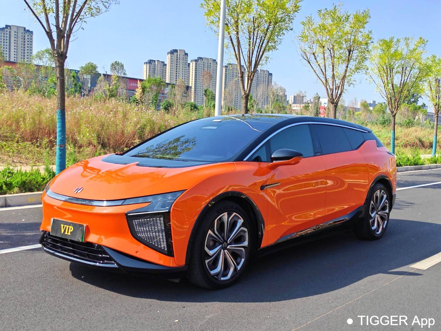 HiPhi 2021 HiPhi X Flagship Edition 6-seater automatic transmission