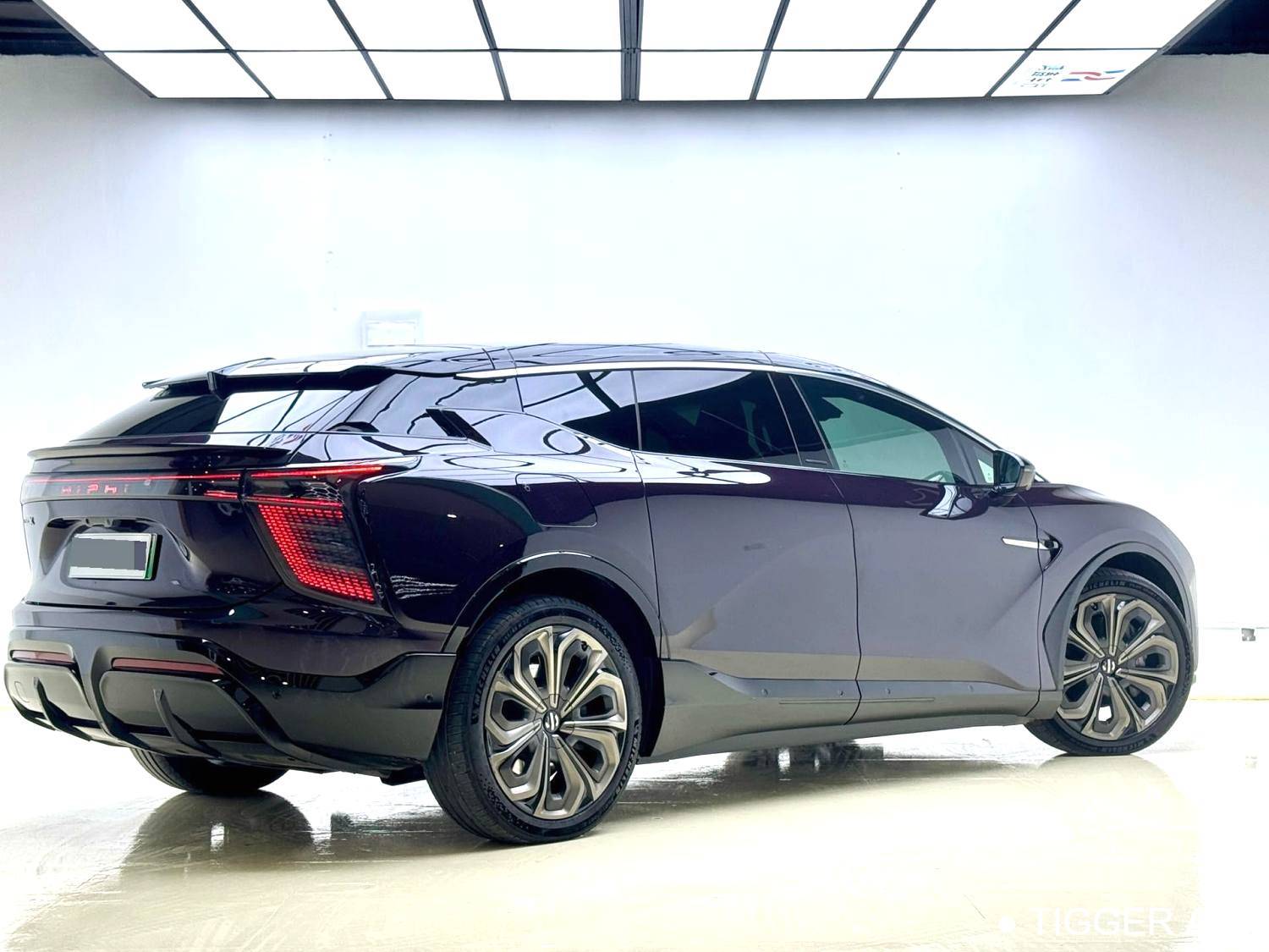 HiPhi 2021 HiPhi X Flagship Edition 6-seater automatic transmission