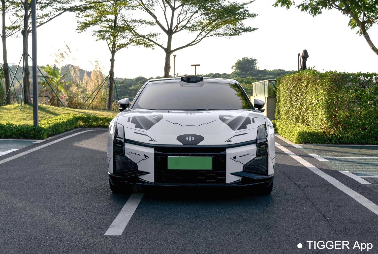 HiPhi 2023 HiPhi Z Four seater Automatic Transmission