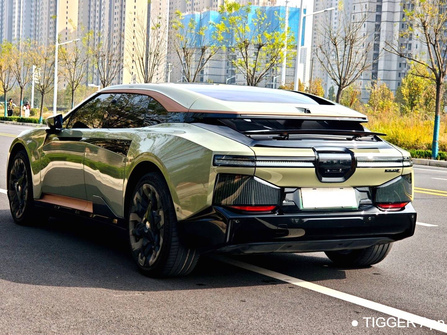 HiPhi 2023 HiPhi Z 5-seater automatic transmission