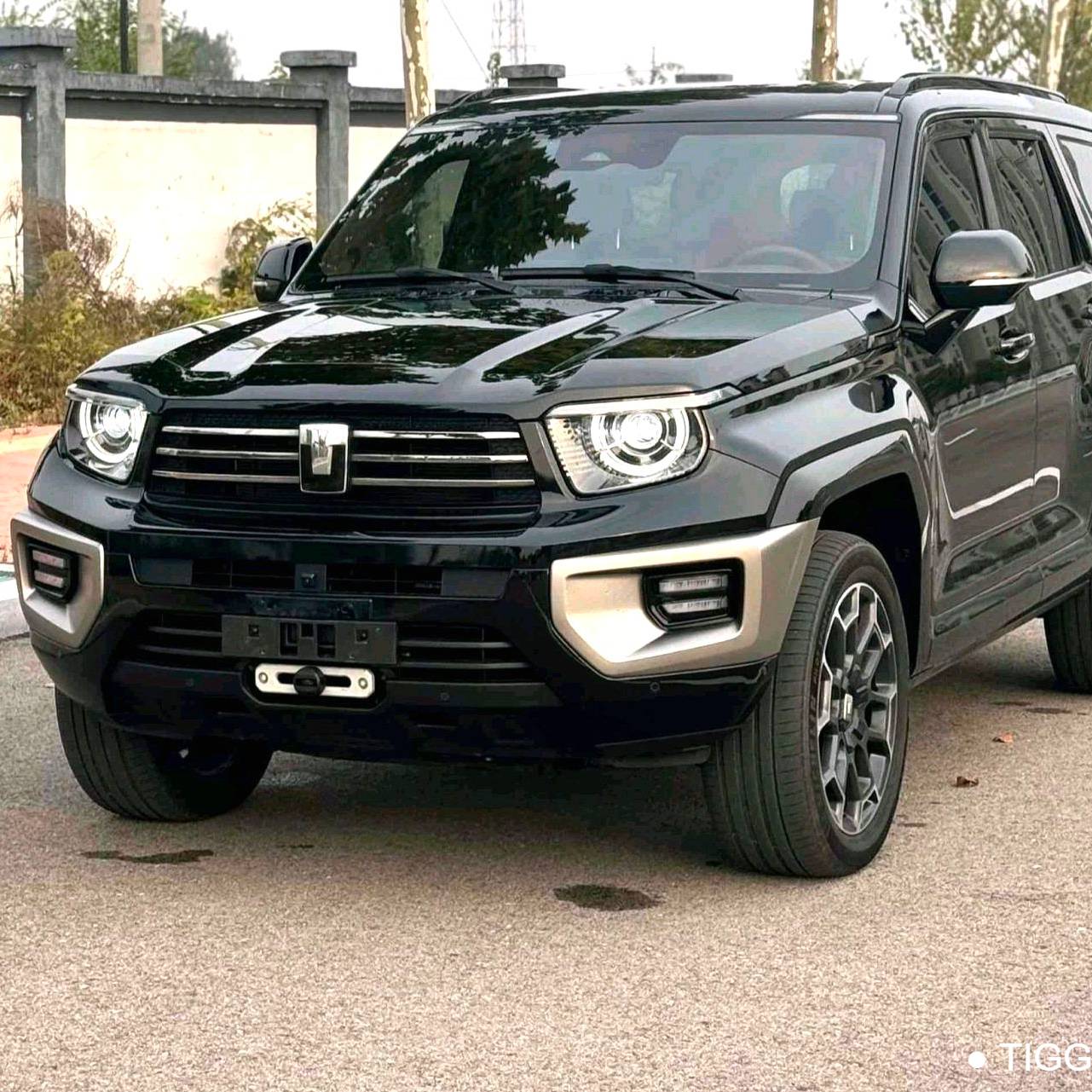 TANK 2024 TANK 700 Hi4-T 3.0T Extreme Edition Automatic Transmission Used Car