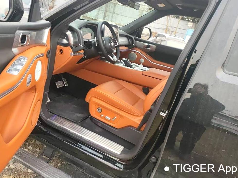 TANK 2024 TANK 700 Hi4-T 3.0T Extreme Edition Automatic Transmission