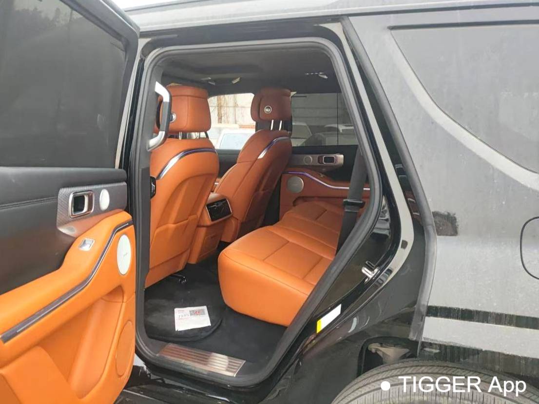 TANK 2024 TANK 700 Hi4-T 3.0T Extreme Edition Automatic Transmission