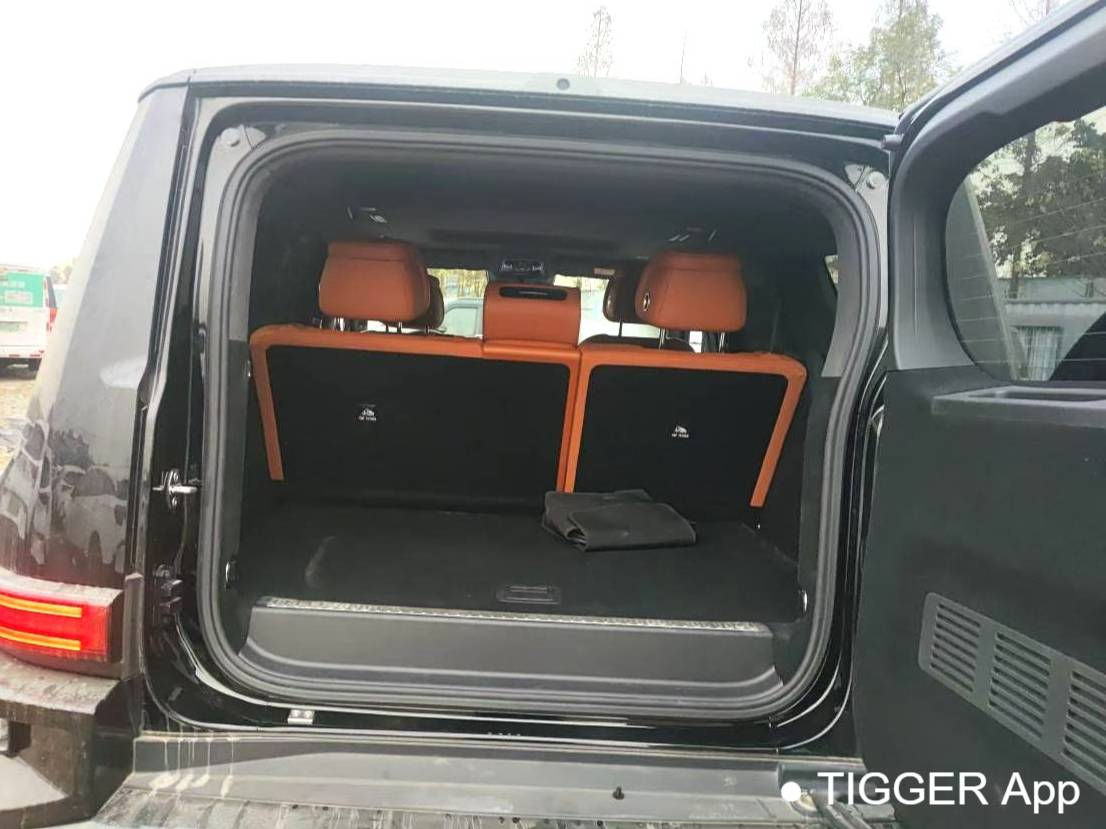 TANK 2024 TANK 700 Hi4-T 3.0T Extreme Edition Automatic Transmission