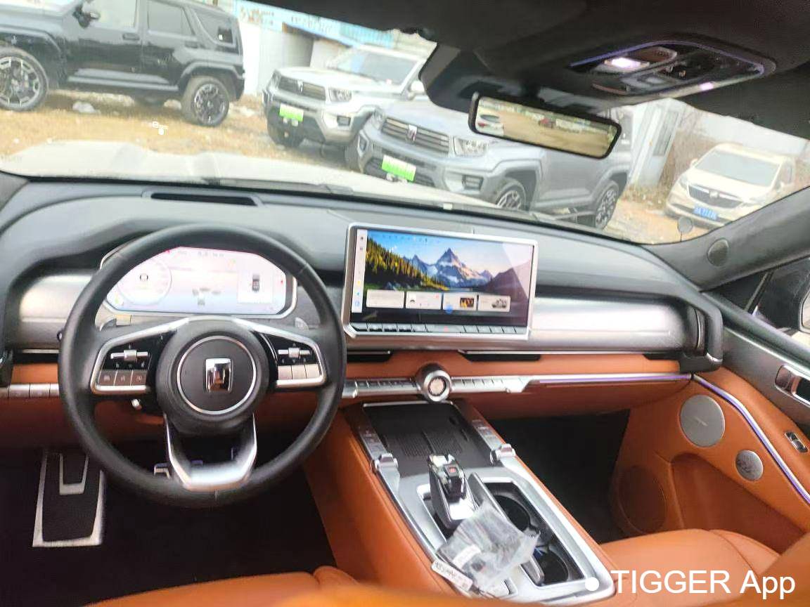 used TANK 2024 TANK 700 Hi4-T 3.0T Extreme Edition Automatic Transmission