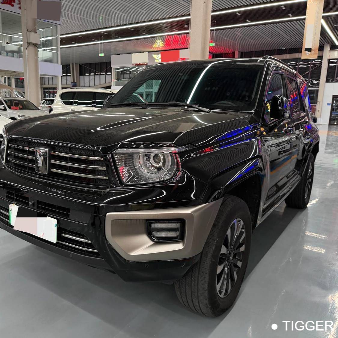 TANK 2024 TANK 700 Hi4-T 3.0T Extreme Edition Automatic Transmission Used Car