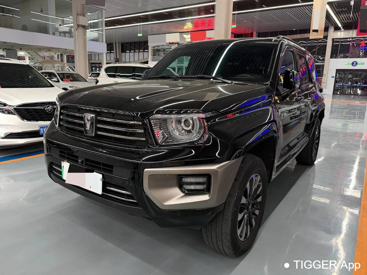 TANK 2024 TANK 700 Hi4-T 3.0T Extreme Edition Automatic Transmission