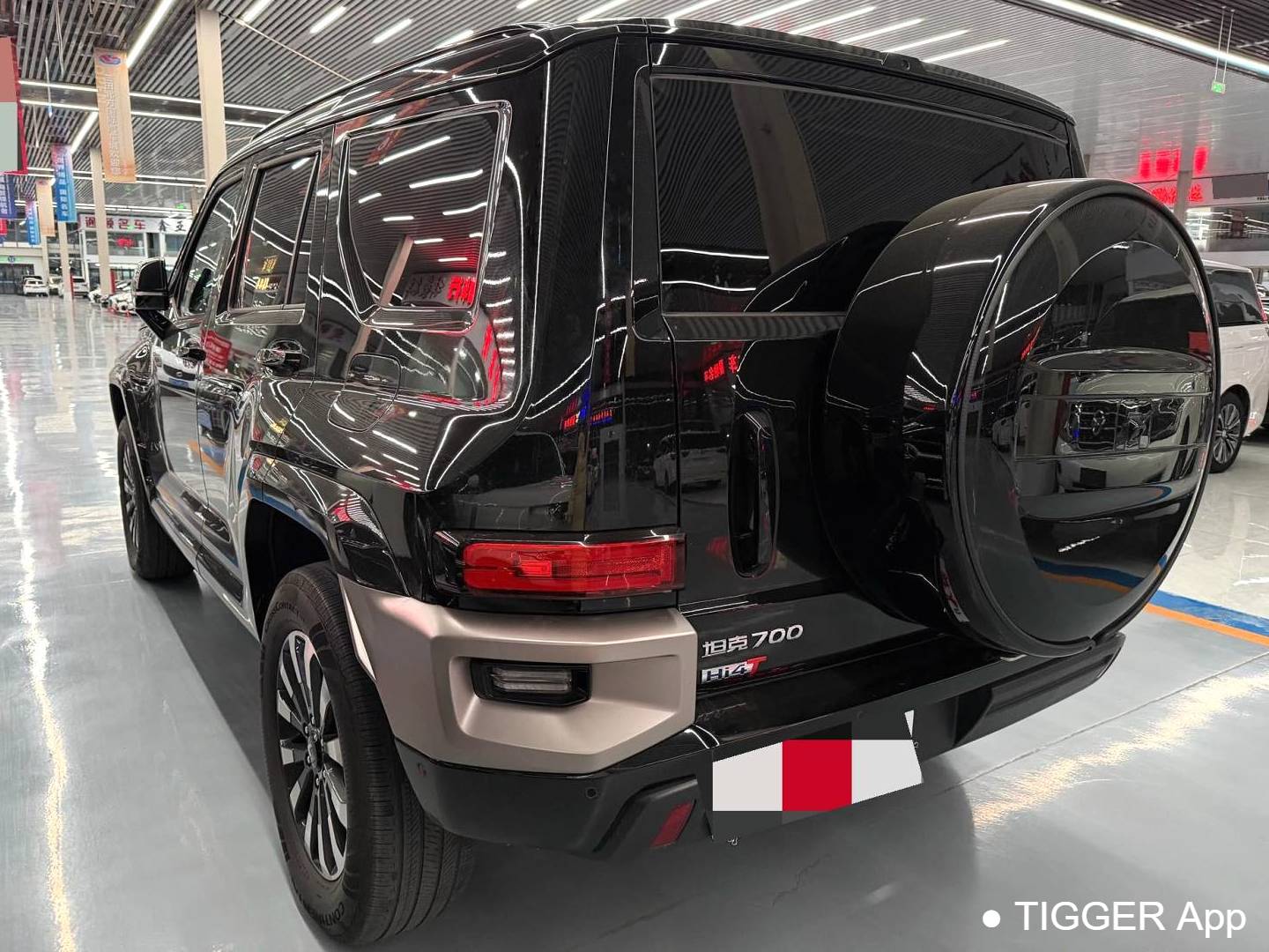 TANK 2024 TANK 700 Hi4-T 3.0T Extreme Edition Automatic Transmission