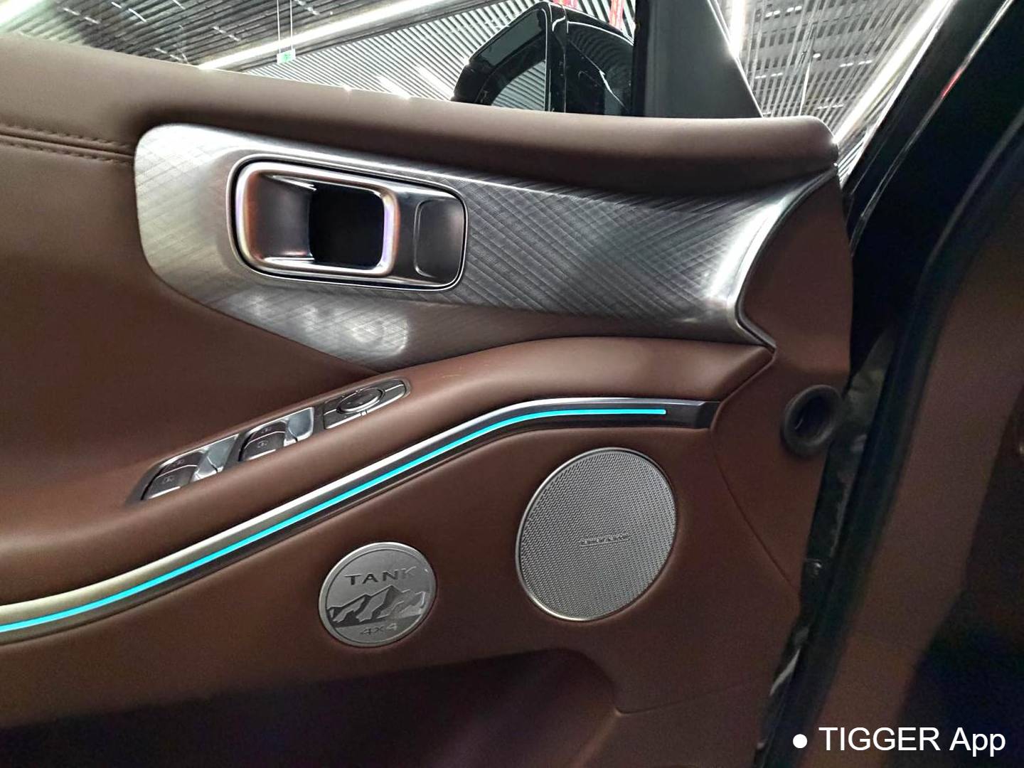 TANK 2024 TANK 700 Hi4-T 3.0T Extreme Edition Automatic Transmission