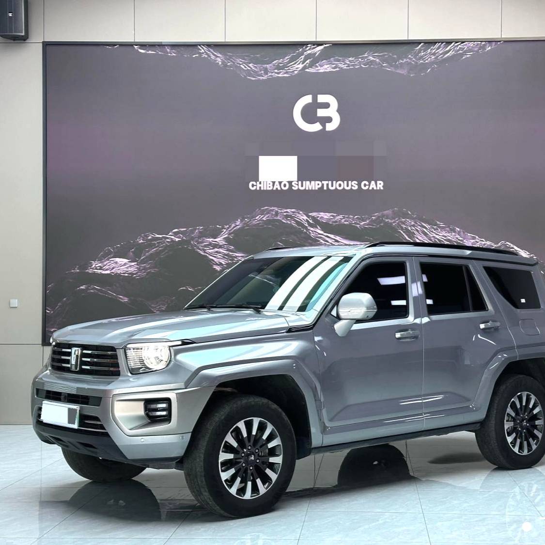 TANK  2024 TANK  700 Hi4-T 3.0T Ultimate Edition Automatic Transmission Used Car