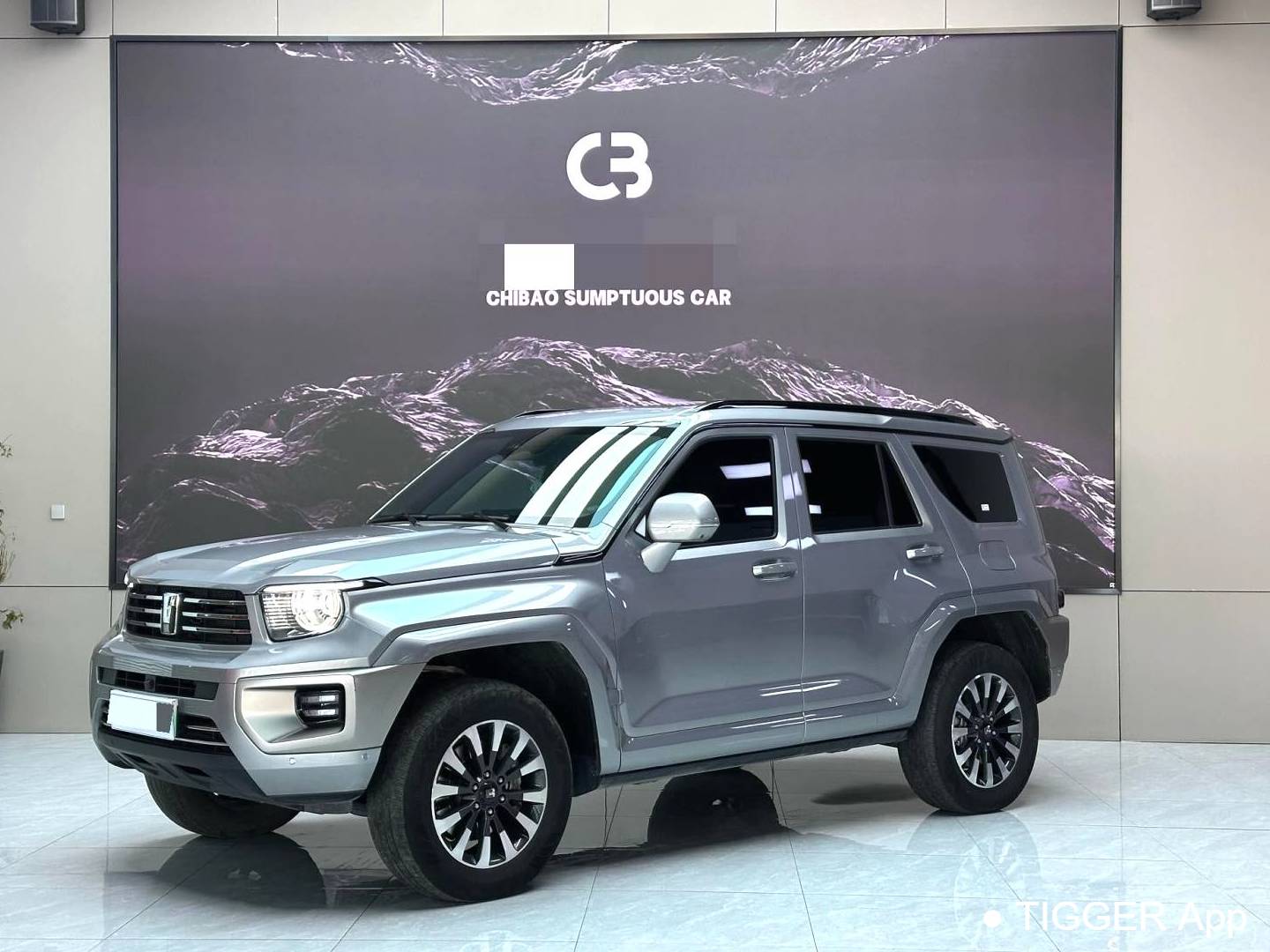 TANK  2024 TANK  700 Hi4-T 3.0T Ultimate Edition Automatic Transmission