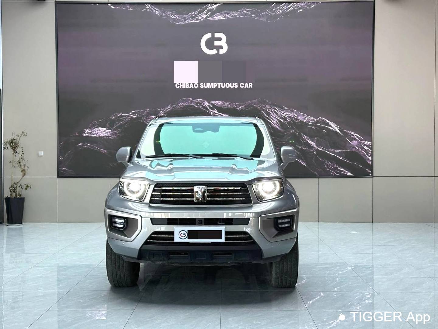 TANK  2024 TANK  700 Hi4-T 3.0T Ultimate Edition Automatic Transmission