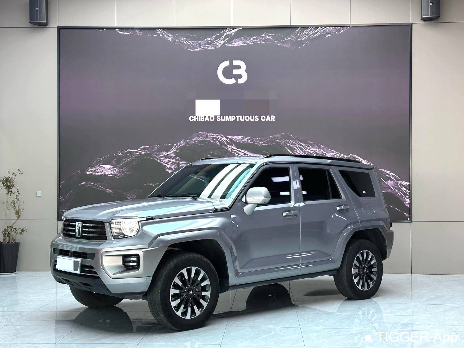 used TANK  2024 TANK  700 Hi4-T 3.0T Ultimate Edition Automatic Transmission