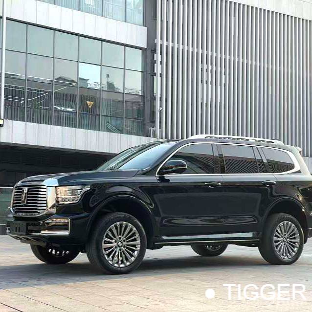  TANK 500 New Energy 24 TANK  500Hi4-T Automatic Transmission Used Car