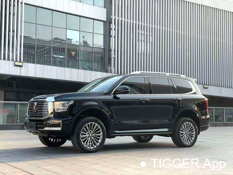  TANK 500 New Energy 24 TANK  500Hi4-T Automatic Transmission