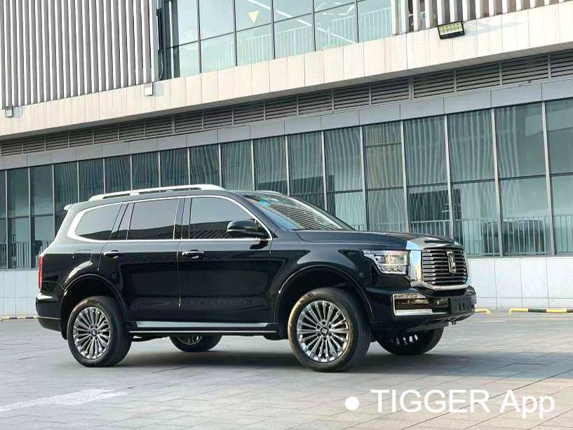  TANK 500 New Energy 24 TANK  500Hi4-T Automatic Transmission