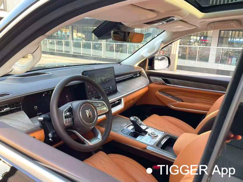  TANK 500 New Energy 24 TANK  500Hi4-T Automatic Transmission