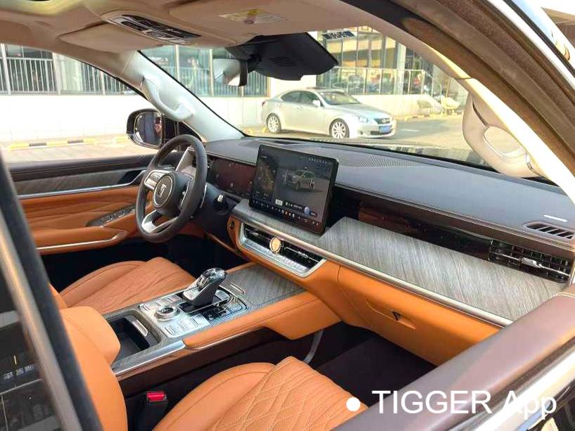  TANK 500 New Energy 24 TANK  500Hi4-T Automatic Transmission