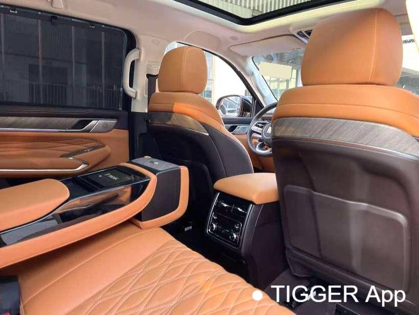  TANK 500 New Energy 24 TANK  500Hi4-T Automatic Transmission