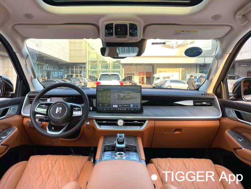  TANK 500 New Energy 24 TANK  500Hi4-T Automatic Transmission