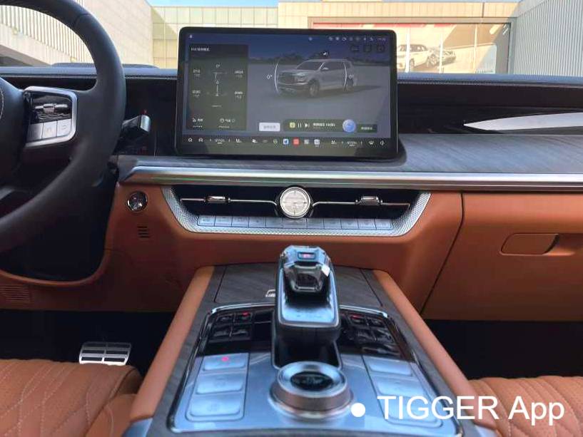  TANK 500 New Energy 24 TANK  500Hi4-T Automatic Transmission