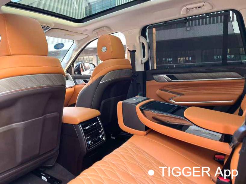  TANK 500 New Energy 24 TANK  500Hi4-T Automatic Transmission