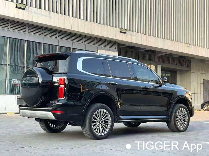  TANK 500 New Energy 24 TANK  500Hi4-T Automatic Transmission