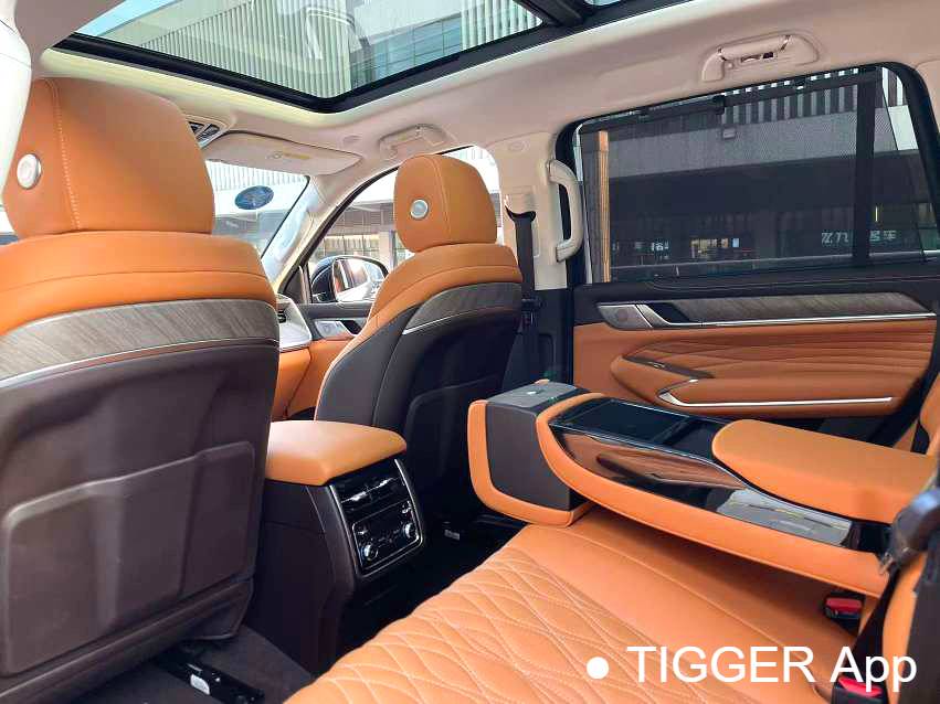 used  TANK 500 New Energy 24 TANK  500Hi4-T Automatic Transmission