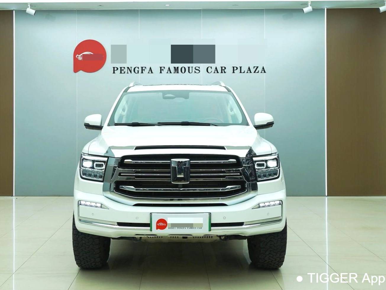 TANK  500 New Energy 2023 TANK  500 Hi4-T 2.0T Hi4-T Automatic Transmission