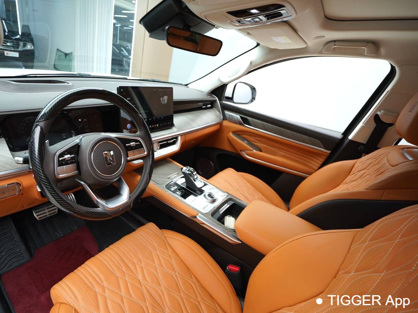 TANK  500 New Energy 2023 TANK  500 Hi4-T 2.0T Hi4-T Automatic Transmission