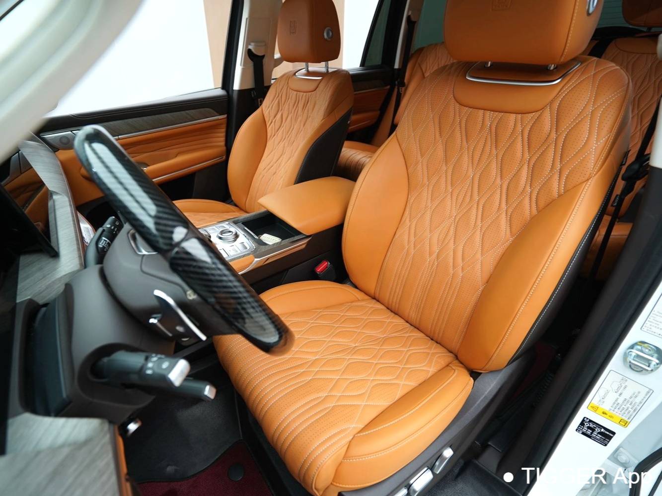 TANK  500 New Energy 2023 TANK  500 Hi4-T 2.0T Hi4-T Automatic Transmission