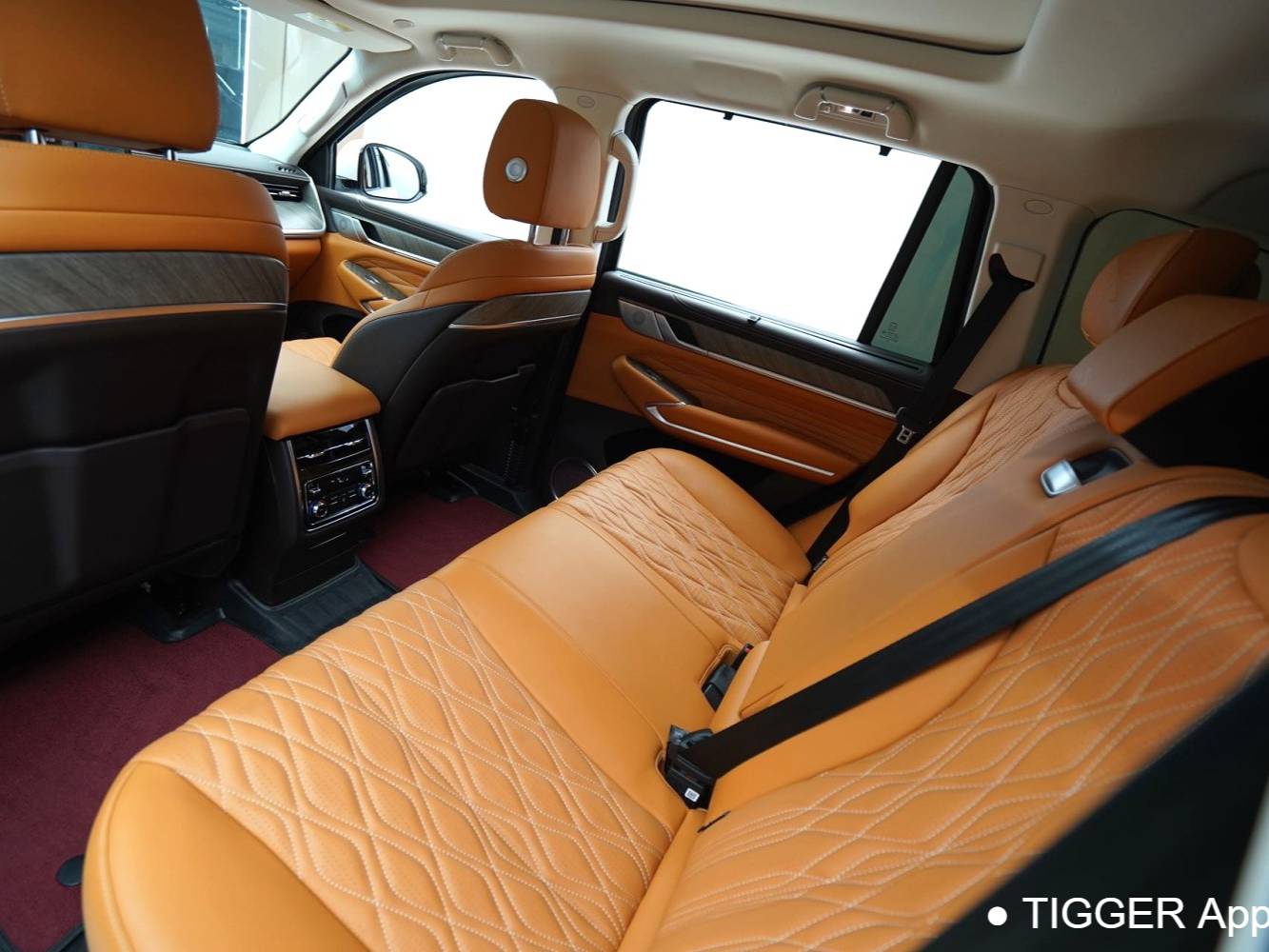 TANK  500 New Energy 2023 TANK  500 Hi4-T 2.0T Hi4-T Automatic Transmission