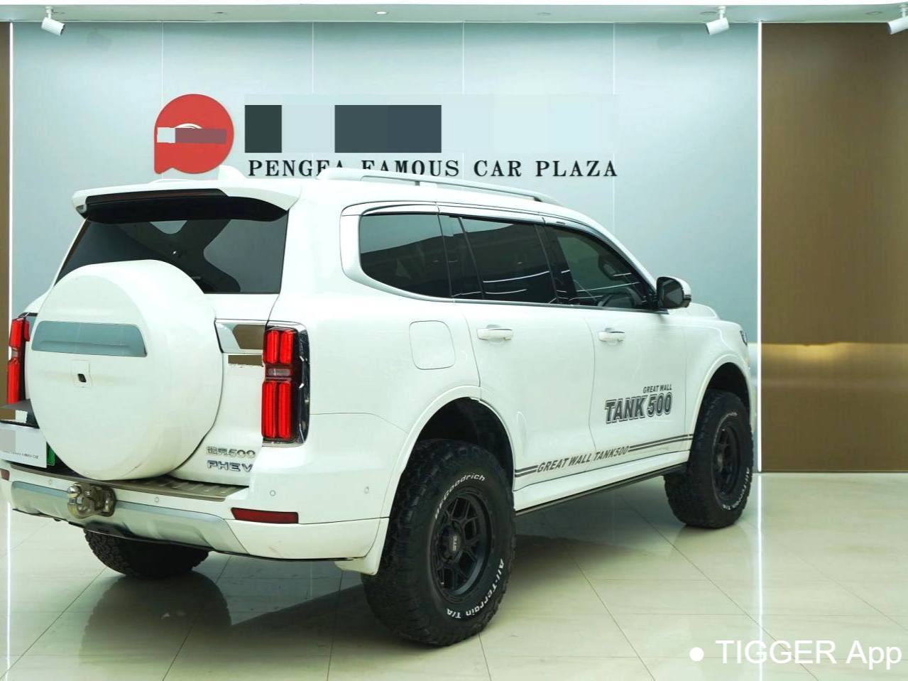 TANK  500 New Energy 2023 TANK  500 Hi4-T 2.0T Hi4-T Automatic Transmission