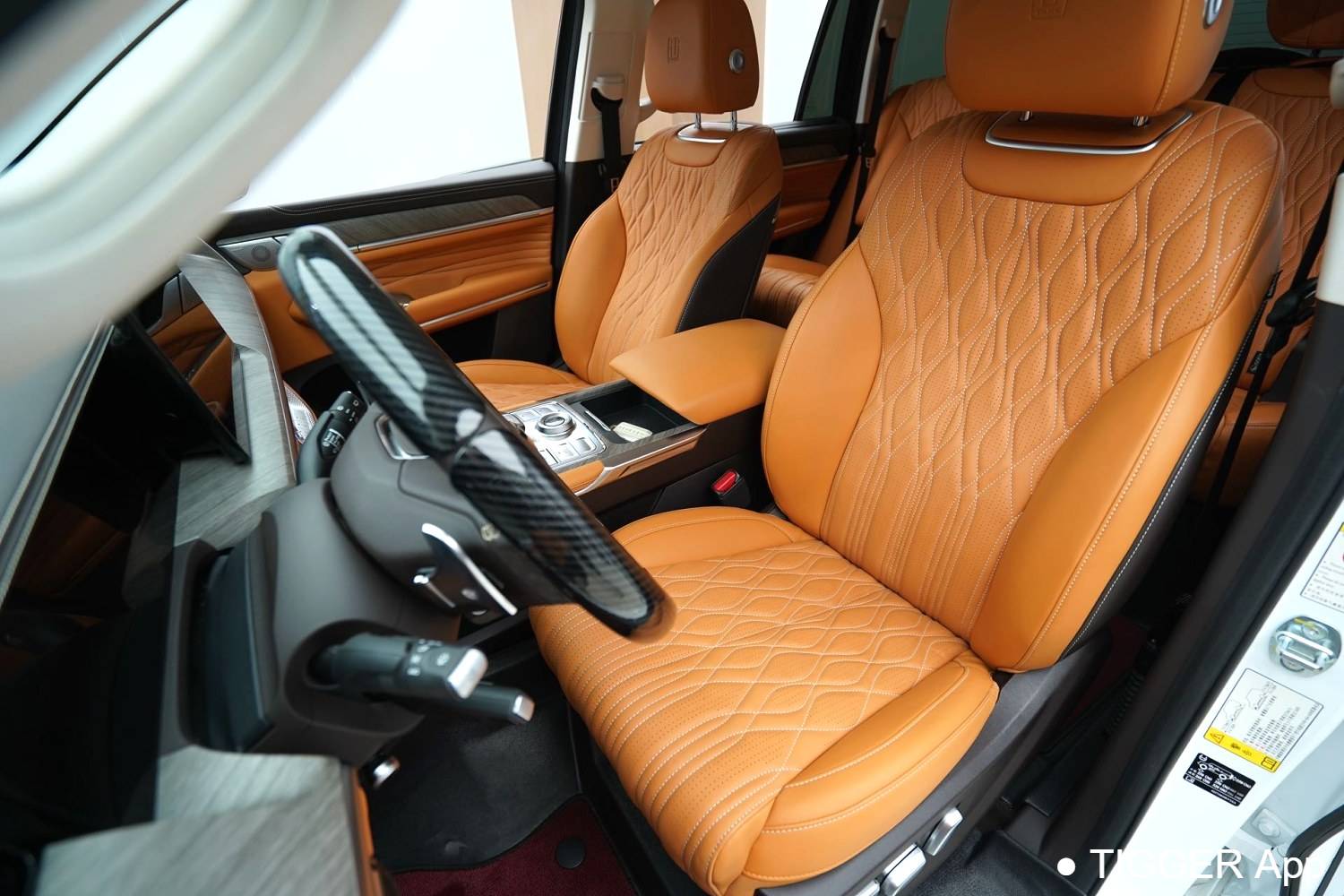 used TANK  500 New Energy 2023 TANK  500 Hi4-T 2.0T Hi4-T Automatic Transmission