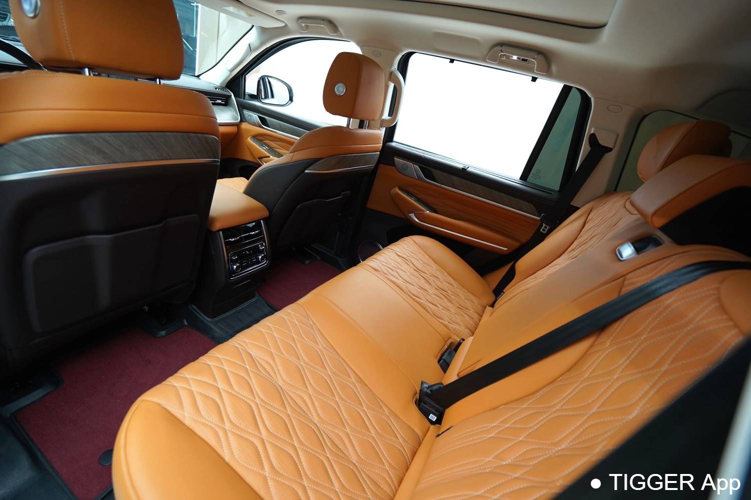 used TANK  500 New Energy 2023 TANK  500 Hi4-T 2.0T Hi4-T Automatic Transmission