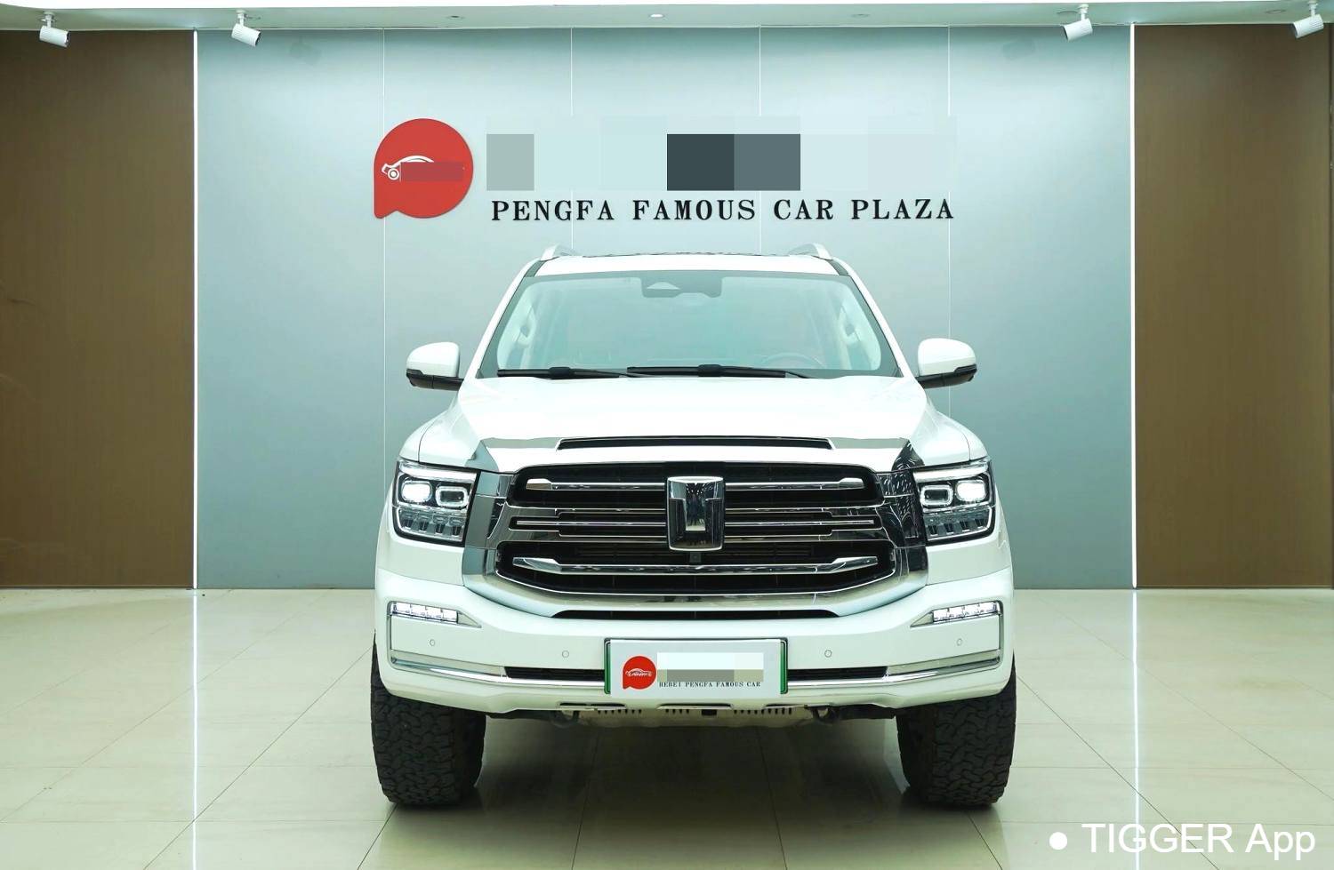 used TANK  500 New Energy 2023 TANK  500 Hi4-T 2.0T Hi4-T Automatic Transmission