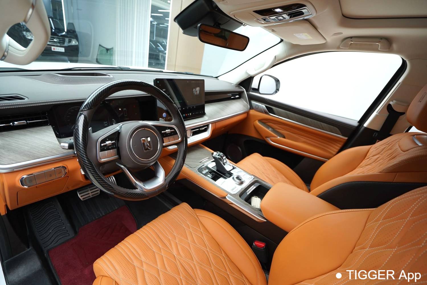 used TANK  500 New Energy 2023 TANK  500 Hi4-T 2.0T Hi4-T Automatic Transmission