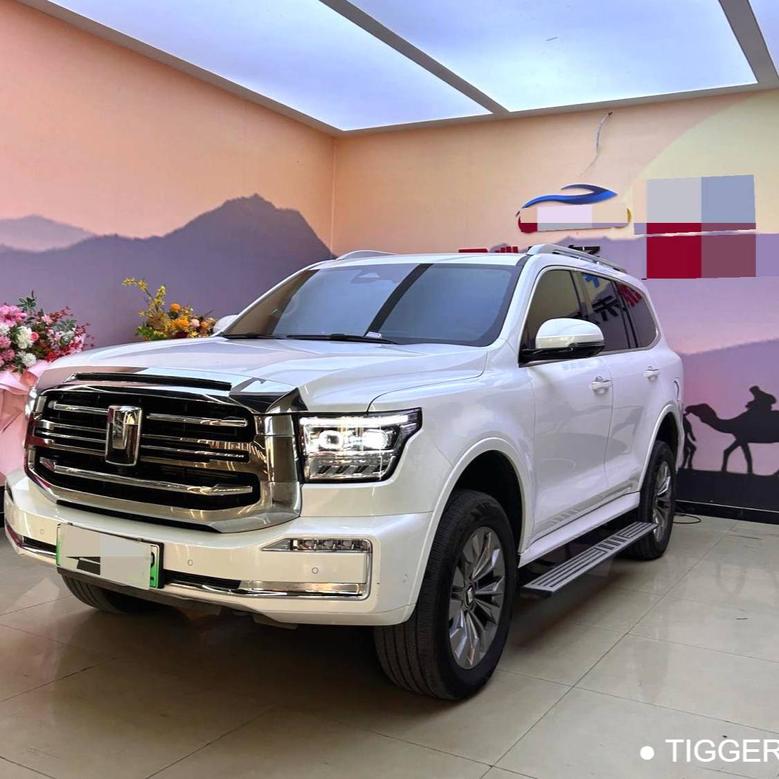 TANK  500 New Energy 2023 TANK  500 Hi4-T 2.0T Hi4-T Automatic Transmission Used Car