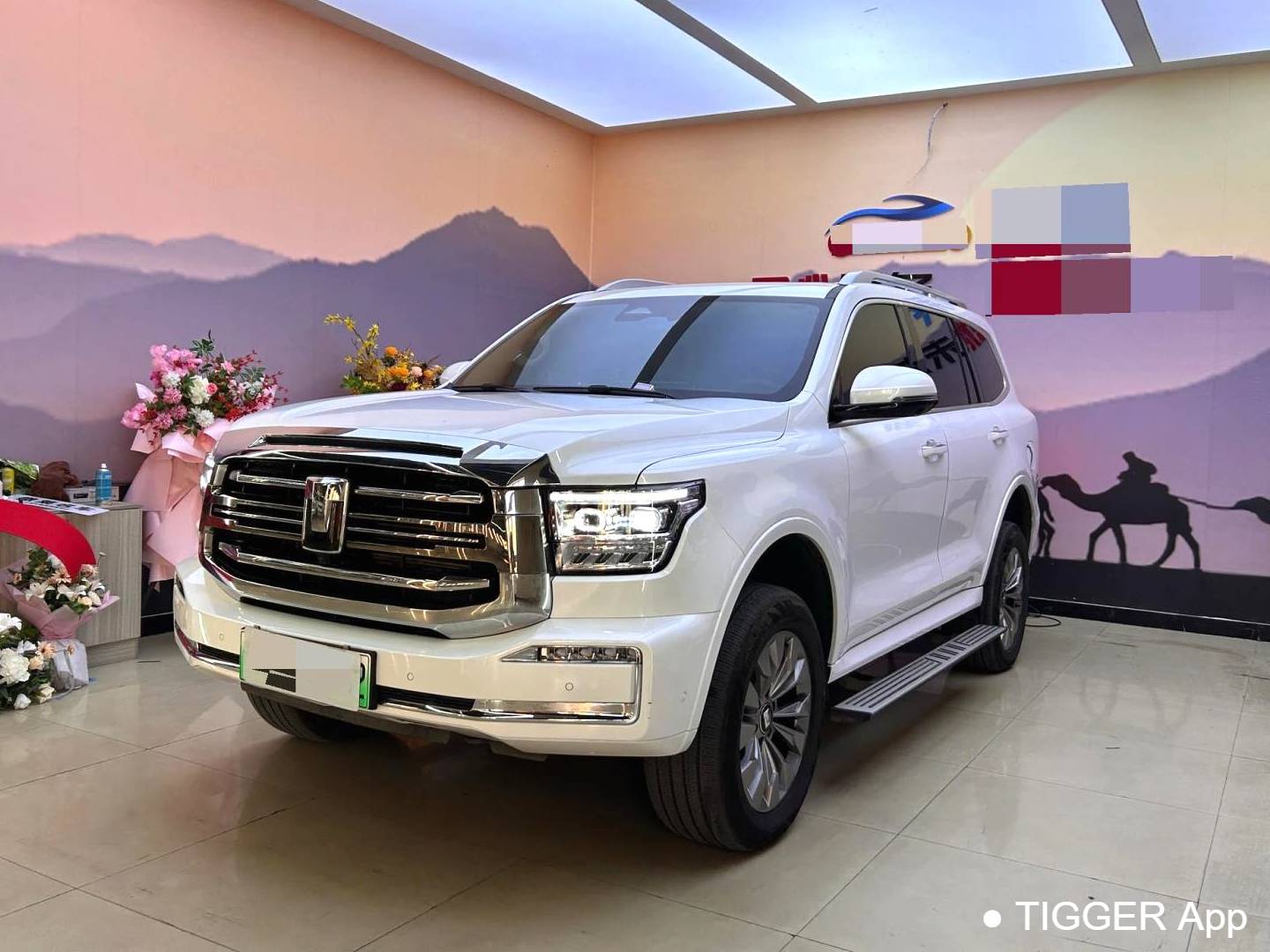 TANK  500 New Energy 2023 TANK  500 Hi4-T 2.0T Hi4-T Automatic Transmission