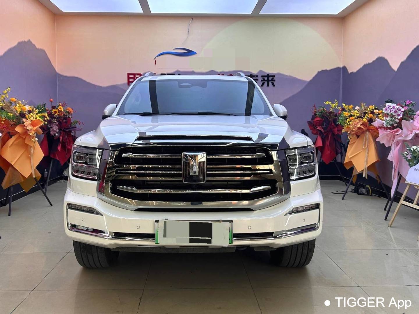 TANK  500 New Energy 2023 TANK  500 Hi4-T 2.0T Hi4-T Automatic Transmission