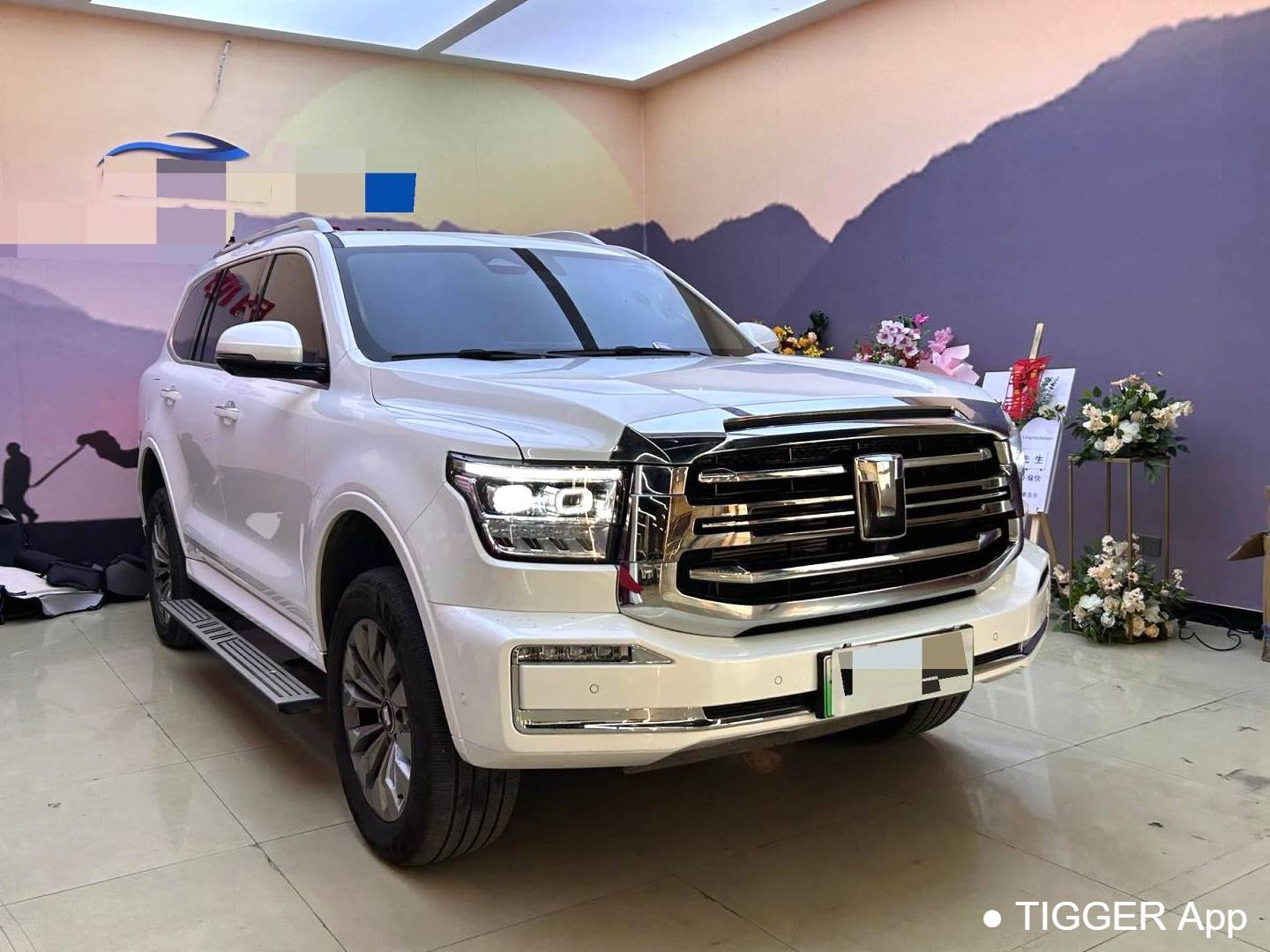 TANK  500 New Energy 2023 TANK  500 Hi4-T 2.0T Hi4-T Automatic Transmission