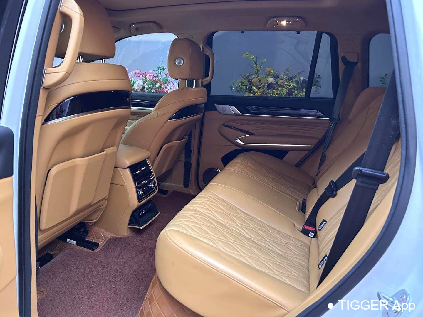 TANK  500 New Energy 2023 TANK  500 Hi4-T 2.0T Hi4-T Automatic Transmission