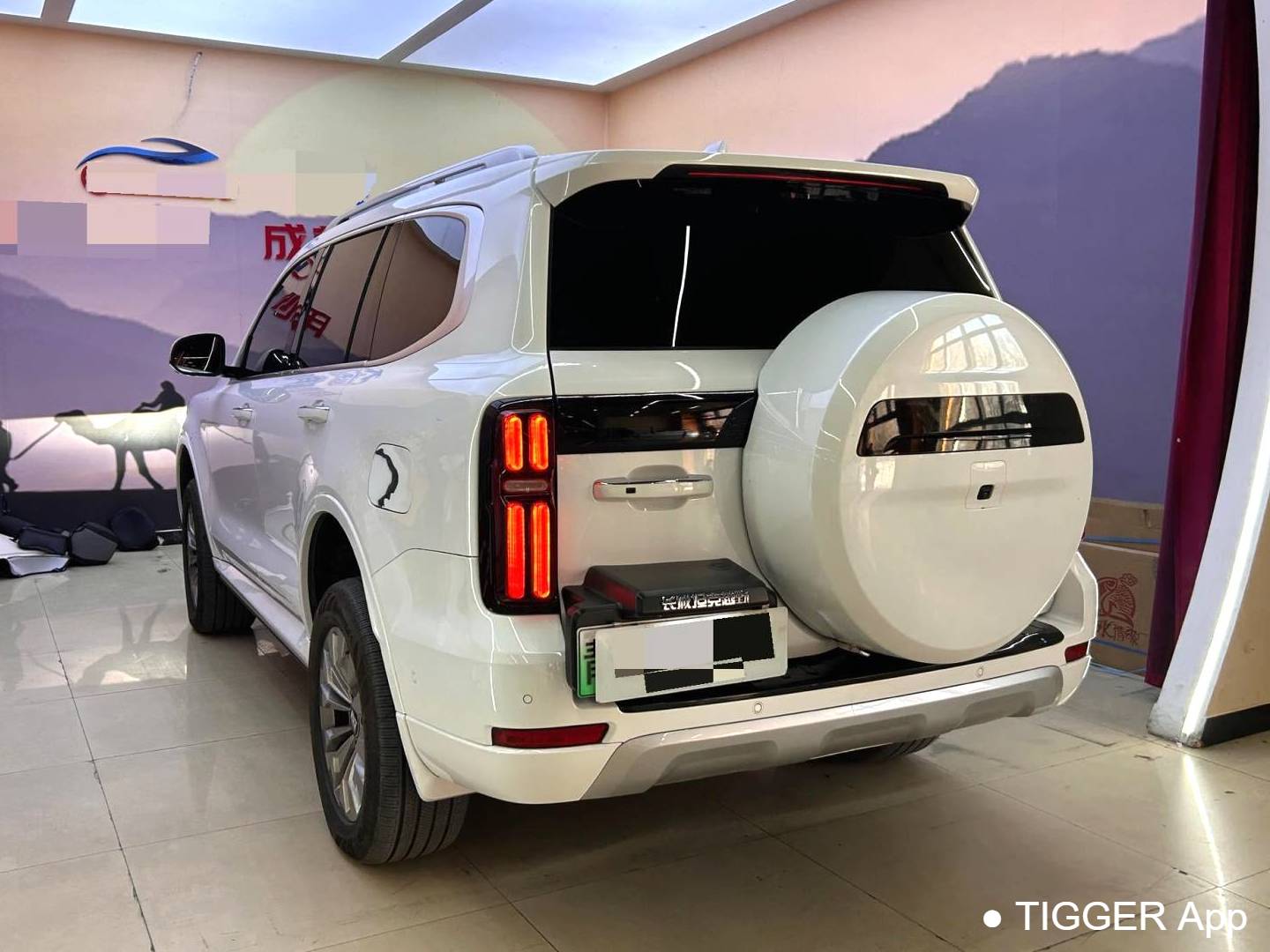 TANK  500 New Energy 2023 TANK  500 Hi4-T 2.0T Hi4-T Automatic Transmission